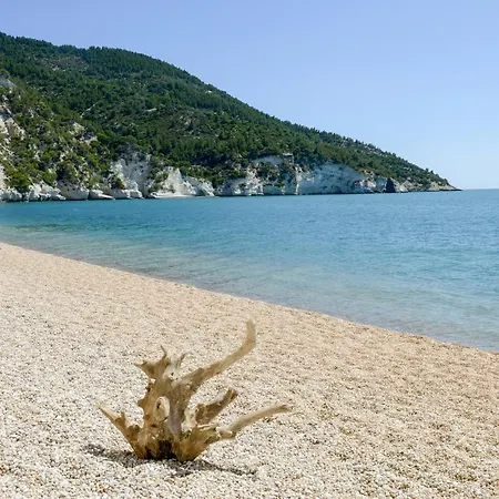 Dimora Storica Fronte Mare Con Terrazzo Privato *