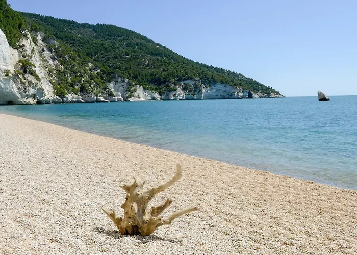 Dimora Storica Fronte Mare Con Terrazzo Privato *